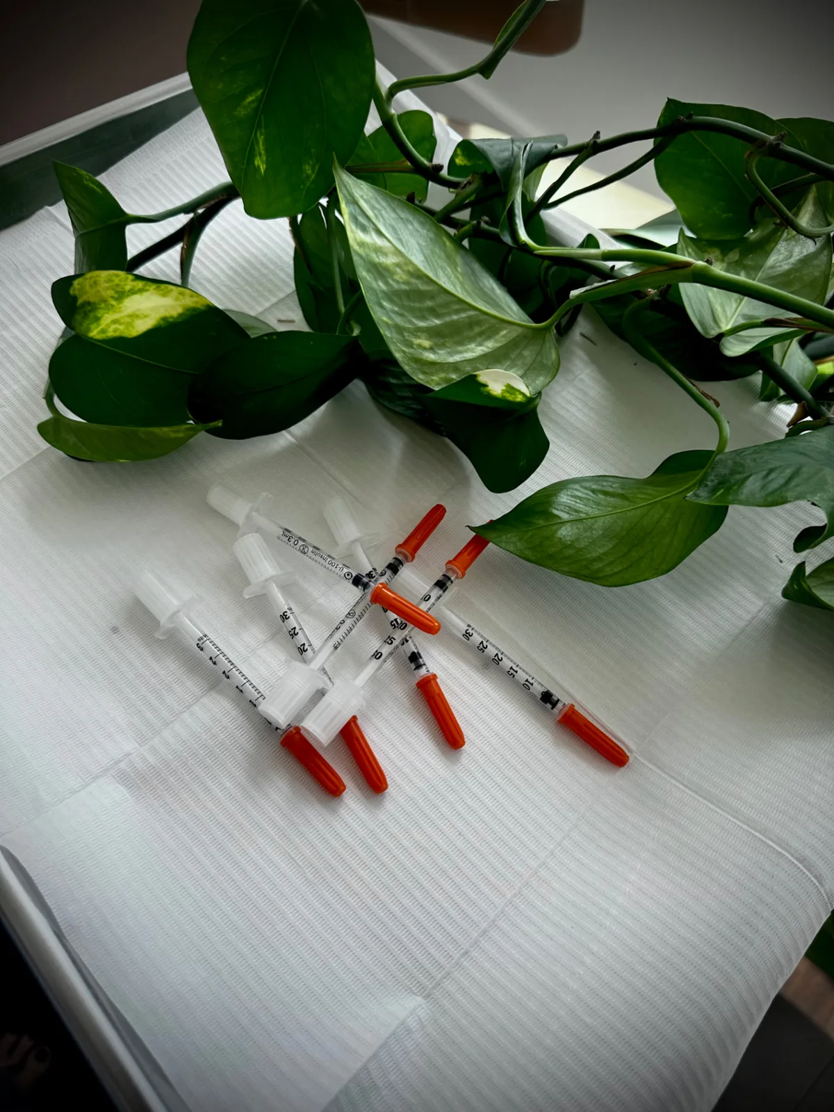 Prepared injectable syringes on a clean treatment tray beside greenery