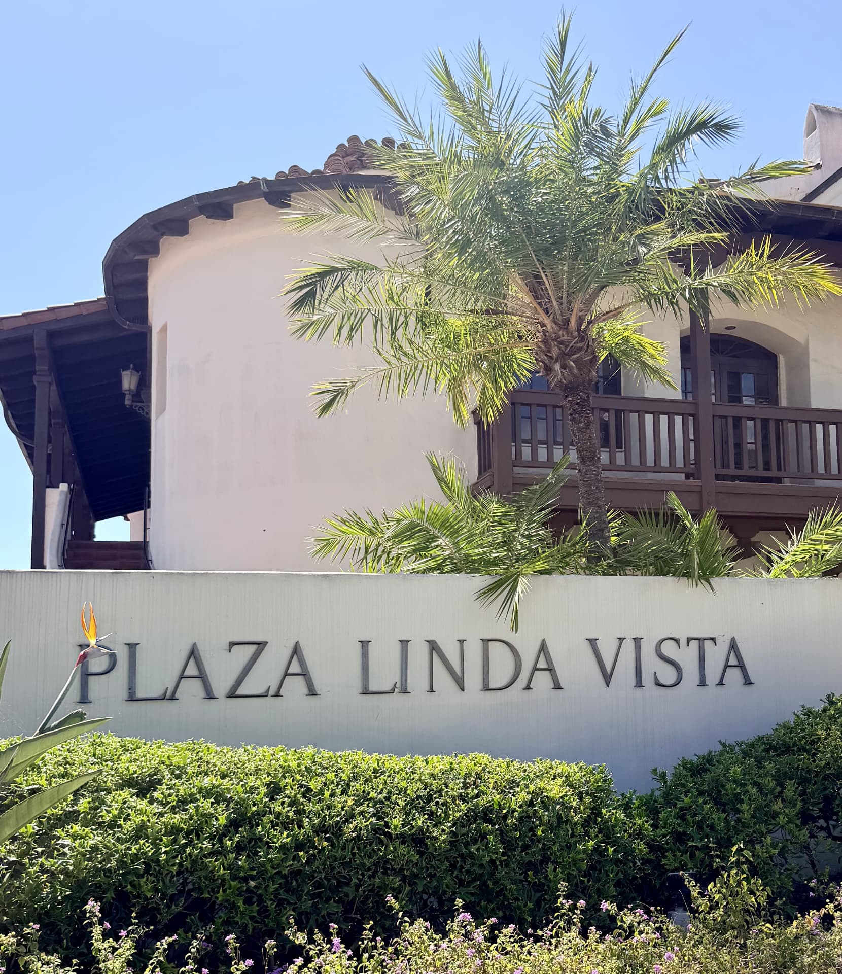 Plaza Linda Vista building exterior with palm trees, home of Kërfree Aesthetics